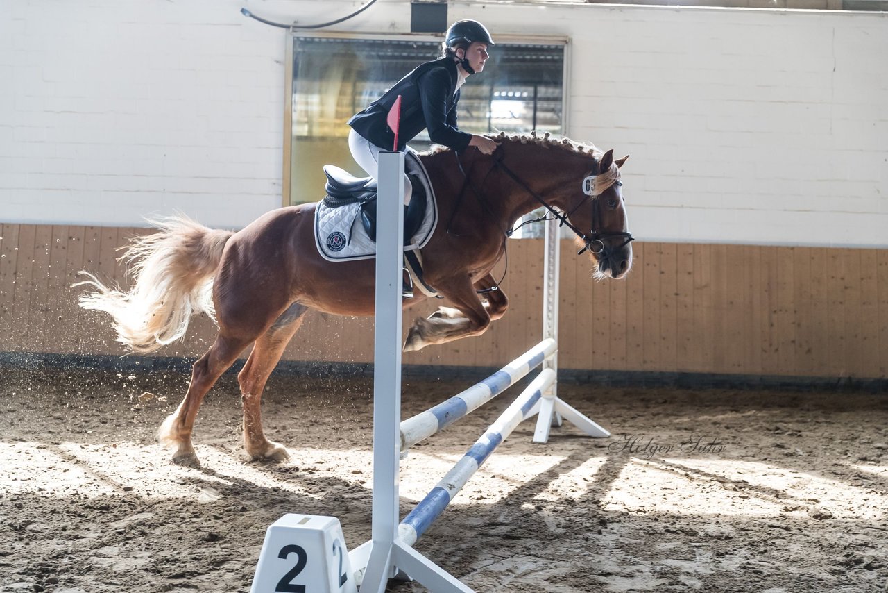 Bild 5 - Pony Akademie Turnier